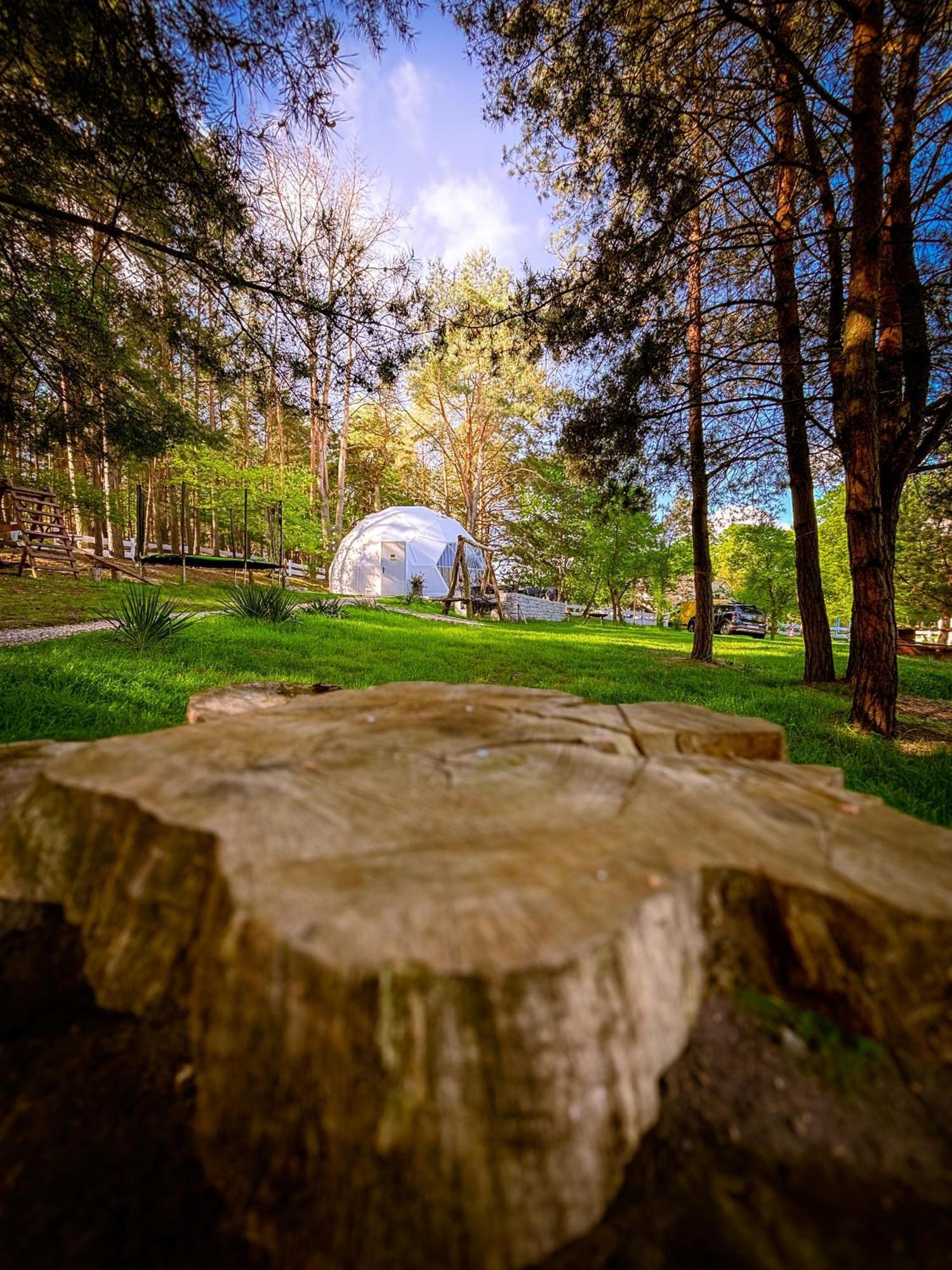 Hotel Glamping Pod Orlem à Cedynia Extérieur photo